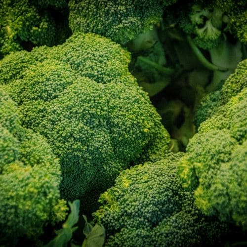 Organic Broccoli