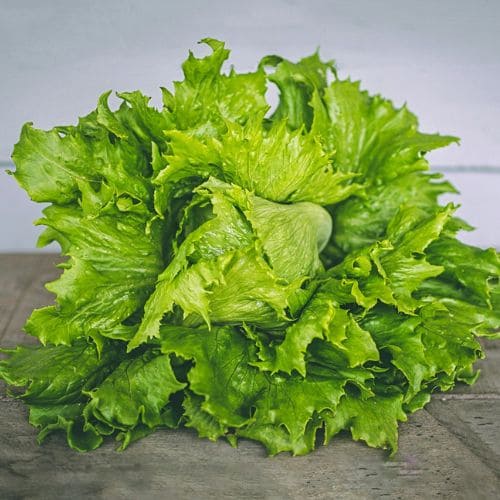 Organic Lettuce